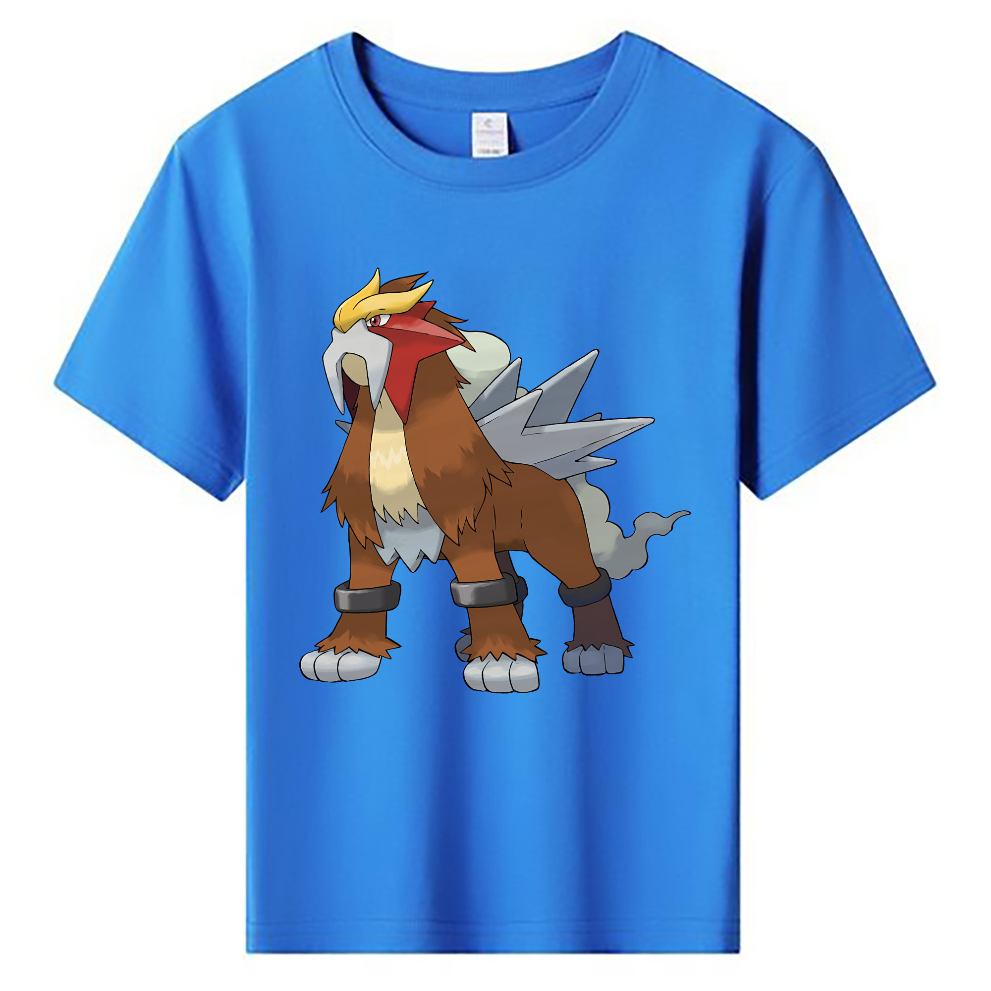 （画像用） ポケットモンスター Pokémon 綿100％キッズTシャツ（フロントプリント）
